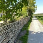 Hazelaarscherm Adequat