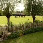 Schapenhek 80 cm Adequat