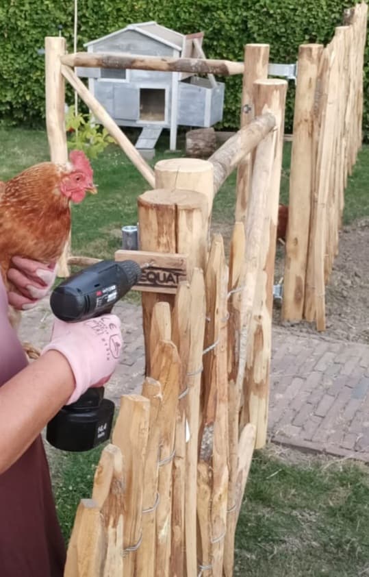 Schapenhek van 120 cm hoog met een latafstand van 4 cm met een dubbele raamwerkpoort van 120 cm hoog als afrastering in de tuin bij een kippenhok