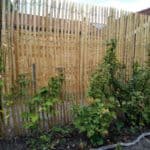 Kastanjehouten schapenhek 200 cm en een latafstand van 2 cm Adequat