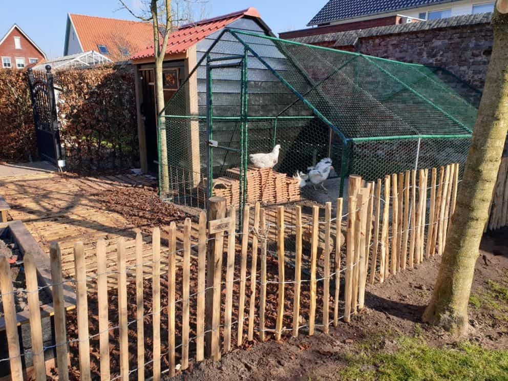 Schapenhek 100 cm en een latafstand van 6 cm Adequat