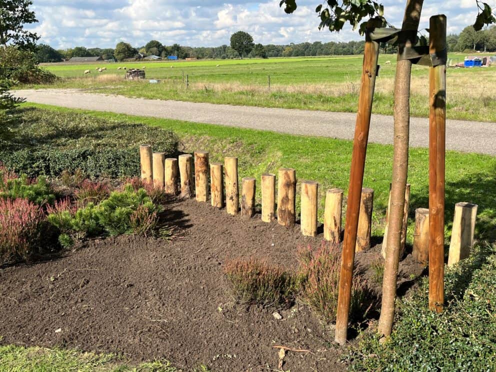 Kastanje palen met een diameter van 13-16 cm Adequat