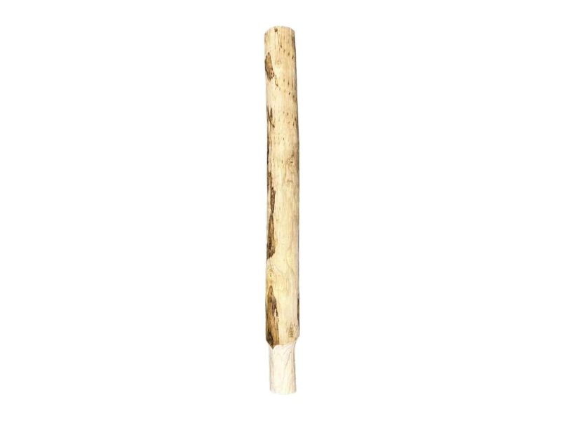 Kastanje paal voor bodemhuls