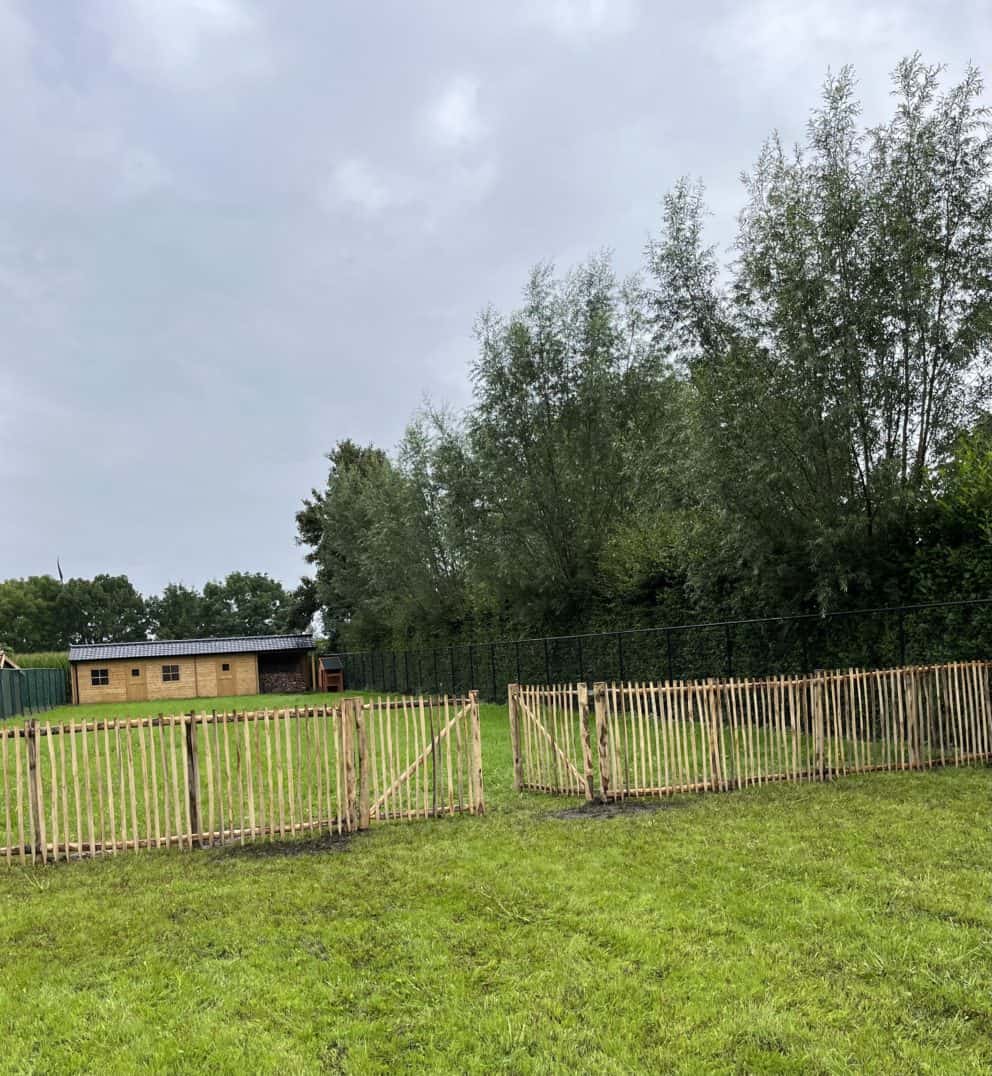 Ezelweide met een dubbele franse raamwerkpoort van 120 breed bij 120 hoog en kastanje palen met diameter 7-9 en lengte 200 en 250 cm bekleed met rasterlatten van 120 cm lang en 1/4 gepunt.
