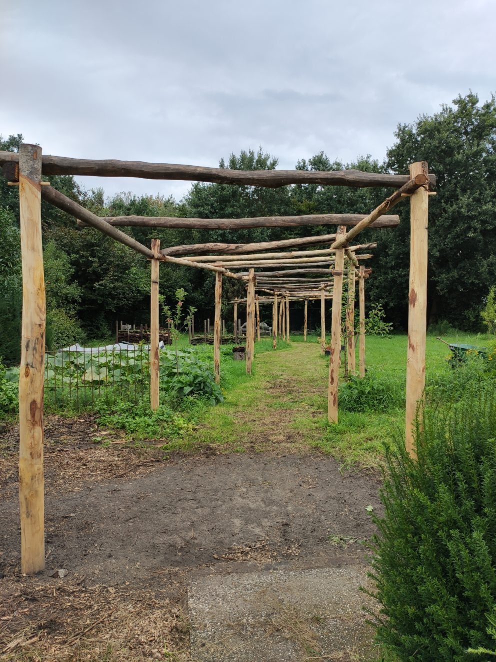 Kastanje palen van 300 cm lang in de diameters 10-12 cm en 7-9 cm gebruikt voor een lange pergola/loofgang in een bosrijke omgeving