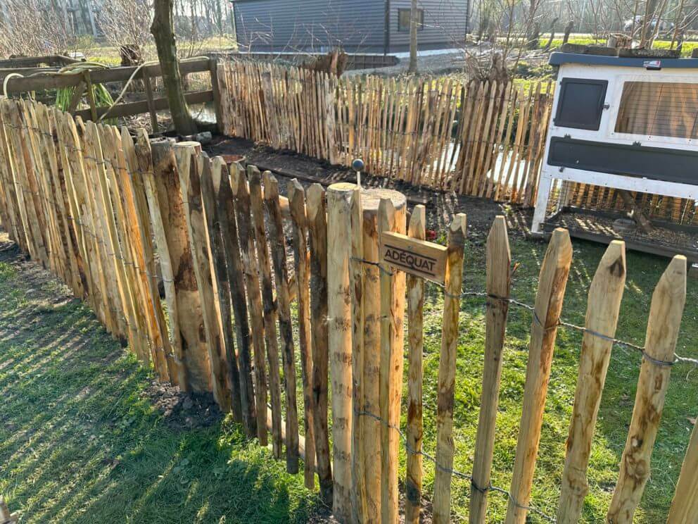 Frans schapenhek 100 hoog, latafstand 4 cm met Franse rondhoutpoort (enkel) van 80 breed bij 100 hoog en robinia paal diameter 8-10 cm met lengte 160 cm en robinia paal diameter 10-12 cm met lengte 180 cm