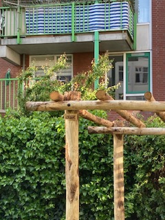 Pergola van kastanje palen in lengte 300 cm lang, diam 7-9 en 13-16 cm en lengte 500 cm lang, diam. 10-12 cm