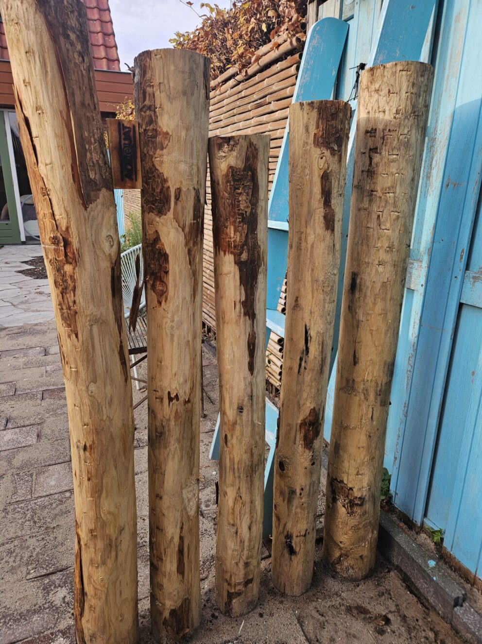 Palen rij/wand gemaakt van kastanje palen 200 cm lang, diameter 13/16 cm
