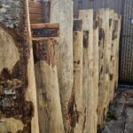 Palen rij/wand gemaakt van kastanje palen 200 cm lang, diameter 13/16 cm