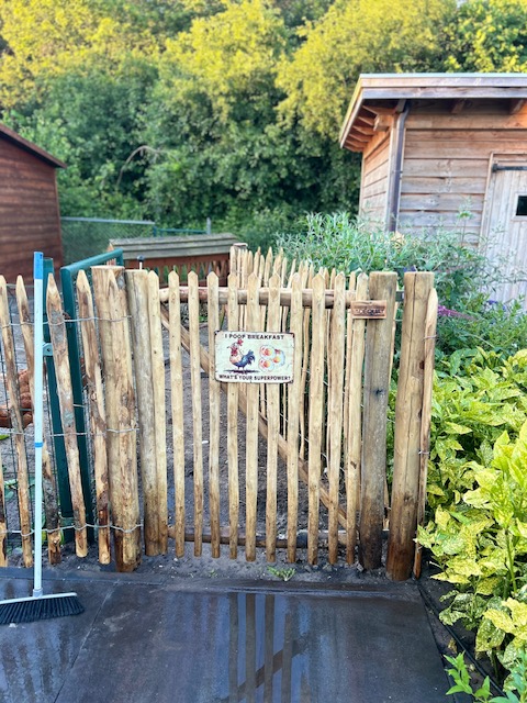 Franse rondhoutpoort 100 breed bij 120 cm hoog met Frans schapenhek kastanje 120 cm hoog, laltafstand 6 cm met kastanje palen 200 cm lang, diameter 2/9 en 10/12 cm